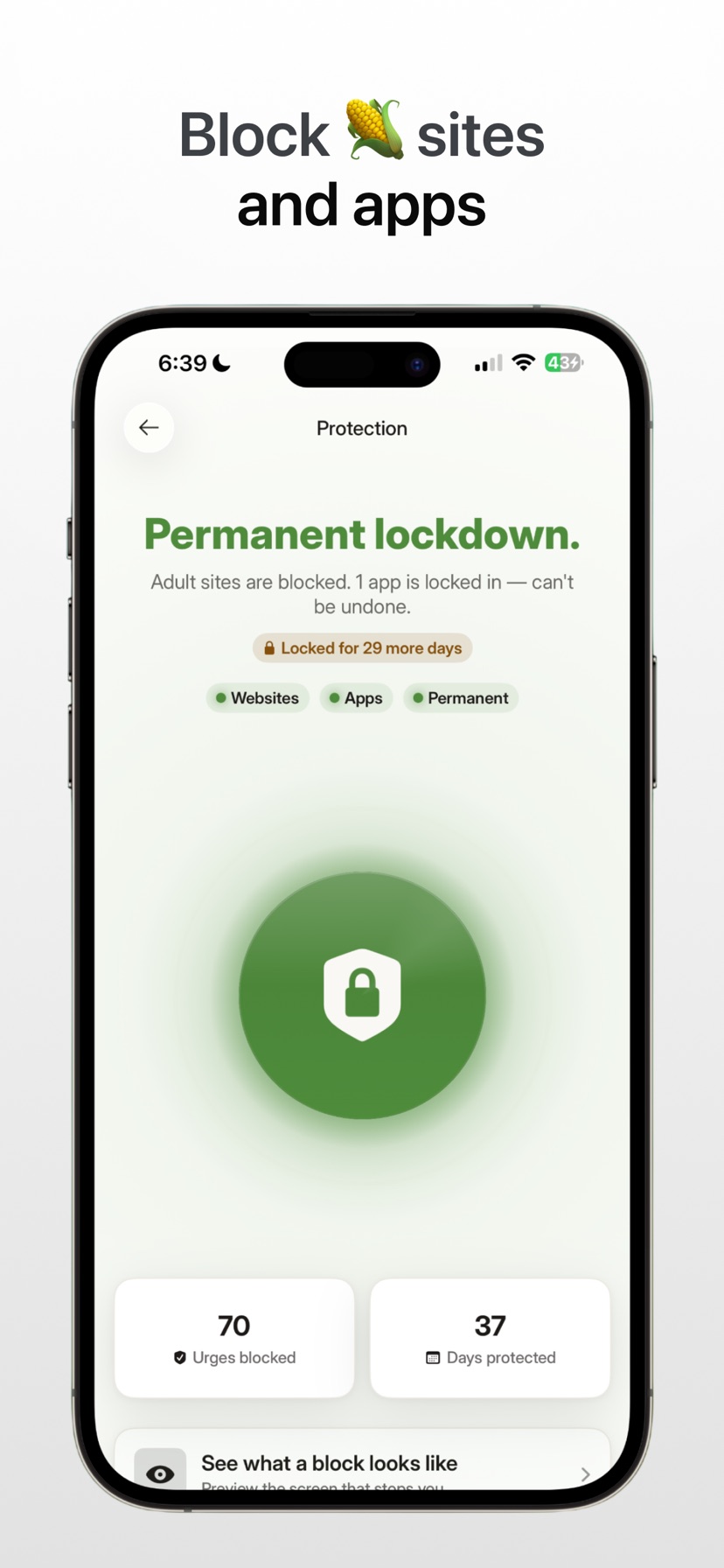 Protection screen: permanent lockdown with adult sites blocked, apps locked, and urges blocked stats